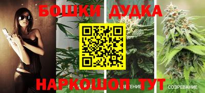 гашиш Сланцы