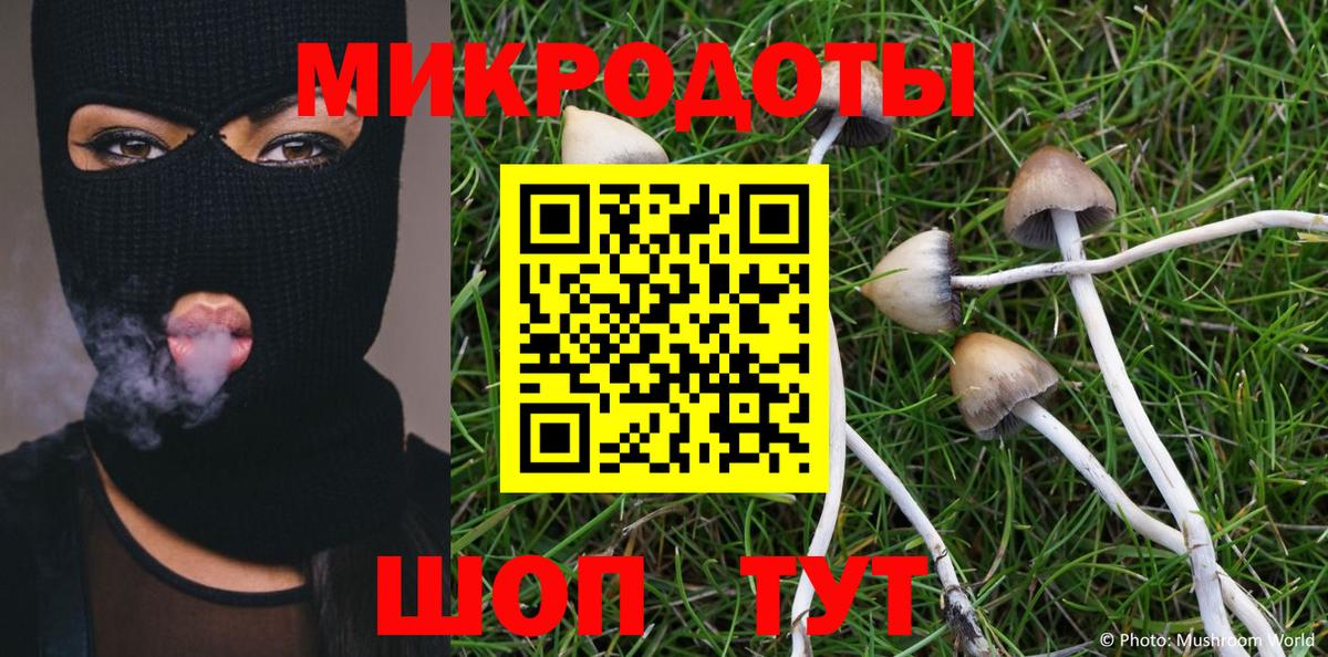 Галлюциногенные грибы Magic Shrooms  Вход с VPN  Новокубанск 